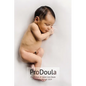 Postpartum & Infant Care Doula WorkBook 2024 - Paperback