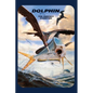 Dolphin: The Perfect Gamefish - Hardcover