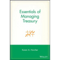 Essentials of Treasury - Paperback