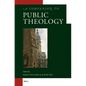 A Companion to Public Theology - Paperback