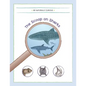 The Scoop on Sharks - Paperback