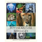 Totem Animal Messages: Channelled Messages from the Animal Kingdom - Paperback