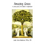 Amazing Grace: A spiritual journey from addiction to enlightenment - Paperback