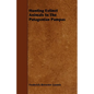 Hunting Extinct Animals In The Patagonian Pampas - Paperback