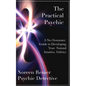 The Practical Psychic: A No-Nonsense Guide to Developing Your Natural Intuitive Abilities - Paperback