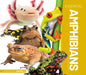 Essential Amphibians - Library Binding