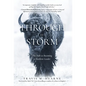 Through the Storm: The Path to Becoming a Resilient Leader - Hardcover