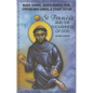 St. Francis and the Foolishness of God - Paperback