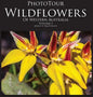 Phototour Wildflowers of Western Australia Vol1: A Photographic Journey Through a Natural Kaleidoscope - Hardcover