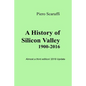 A History of Silicon Valley: Almost a 3rd Edition - 2016 Update - Paperback