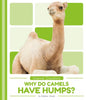 Why Do Camels Have Humps? - Library Binding