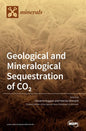 Geological and Mineralogical Sequestration of CO2 - Hardcover