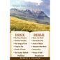 What The Bible Really Says About That...! - Paperback