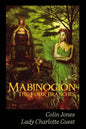 Mabinogion, the Four Branches: The Ancient Celtic Epic - Paperback