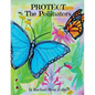 Protect The Pollinators - Paperback