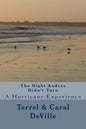 The Night Audrey Didn't Turn: A Hurricane Experience - Paperback