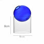 Creative Colorful Spherical Glass Vase Decoration