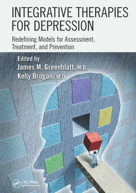 Integrative Therapies for Depression: Redefining Models for Assessment, Treatment and Prevention - Paperback