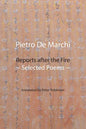 Reports after the Fire: Selected Poems - Paperback