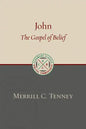 John: The Gospel of Belief: An Analytic Study of the Text - Paperback