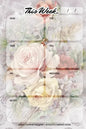 Weekly Planner Notepad: Vintage Roses, Daily Planning Pad for Organizing, Tasks, Goals, Schedule - Paperback