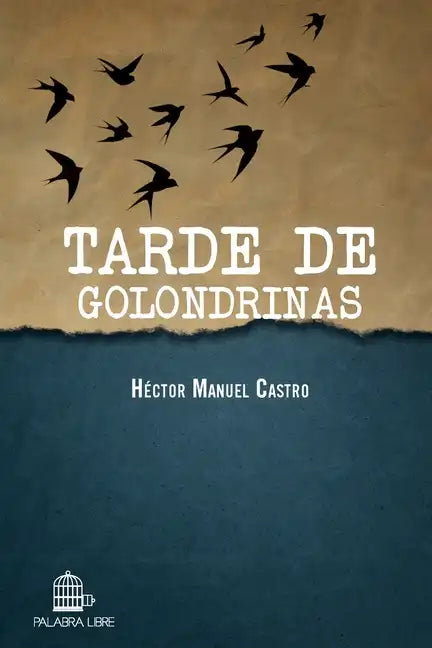 Tarde de golondrinas - Paperback
