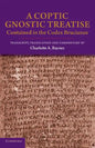 A Coptic Gnostic Treatise: Contained in the Codex Brucianus - Paperback