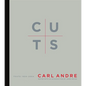 Cuts: Texts 1959-2004 - Paperback