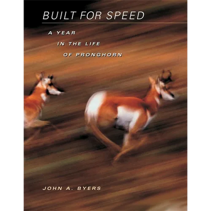 Built for Speed: A Year in the Life of Pronghorn - Hardcover
