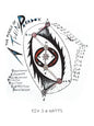 The Puzzle of a Twin Paradox - Paperback