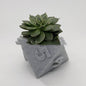 3D Printed Plant Pot Table Top RPG Dice Succulent Planter Set Home Decoration Multifunction Garden Flower Pot