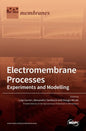 Electromembrane Processes: Experiments and Modelling - Hardcover