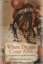 Where Dreams Come Alive: The Alchemy of the African Healer - Paperback