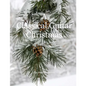 A Classical Guitar Christmas - Paperback