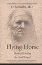 Flying Horse: Stories of Healing the Soul Wound - Paperback