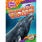 Humpback Whales - Library Binding