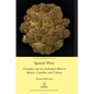 Spatial Plots: Virtuality and the Embodied Mind in Baricco, Camilleri and Calvino - Hardcover