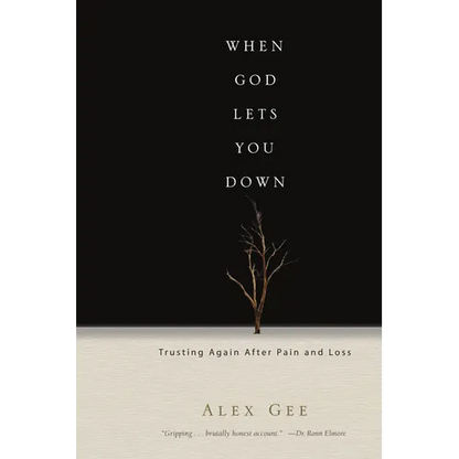 When God Lets You Down: Trusting Again After Pain and Loss - Paperback