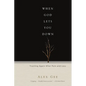 When God Lets You Down: Trusting Again After Pain and Loss - Paperback