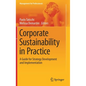 Corporate Sustainability in Practice: A Guide for Strategy Development and Implementation - Hardcover