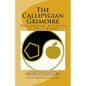 The Callipygian Grimoire: A Discordian Activity and Spell Book - Paperback