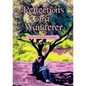 Reflections of a Wanderer: Poems from A Road Less Travelled - Paperback