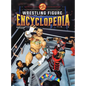 Fig Heel's 2025 Wrestling Figure Encyclopedia: Modern Edition (2010-Present) - Hardcover