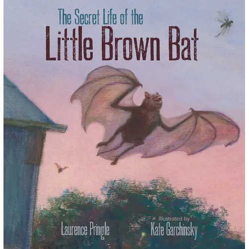 The Secret Life of the Little Brown Bat - Hardcover