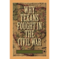 Why Texans Fought in the Civil War - Paperback