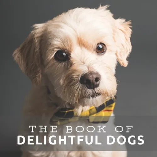The Book of Delightful Dogs: Picture Book For Seniors With Dementia (Alzheimer's) - Paperback