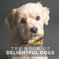 The Book of Delightful Dogs: Picture Book For Seniors With Dementia (Alzheimer's) - Paperback