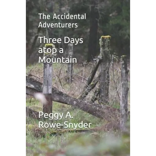 Three Days atop a Mountain: The Accidental Adventurers - Paperback