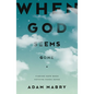 When God Seems Gone: Finding Hope When Nothing Makes Sense - Paperback
