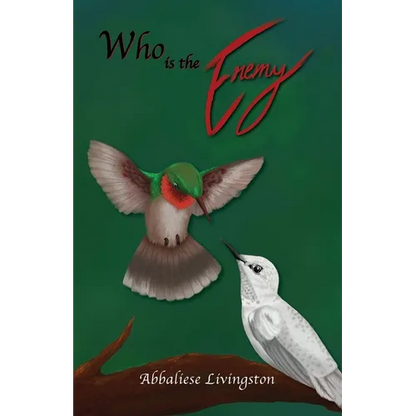 Who is the Enemy - Paperback